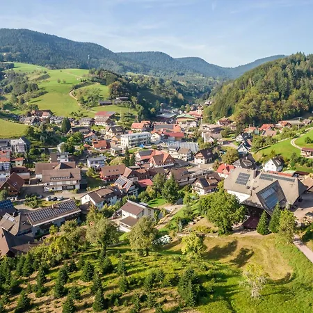 Apartamento Dalblick Oberharmersbach